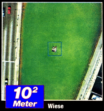 Ansicht eines 100 mal 100 Meter grossen Ausschnitts: - Wiese