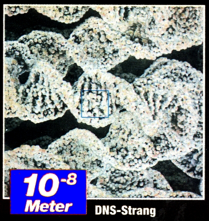Ansicht eines 0,0001 mal 0,0001 mm grossen Ausschnitts -  DNS-Strang
