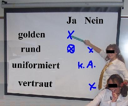 Die Unschfe der verbalen Sprache ist kein Nachteil, wo es um die Interatktionsfindung zwischen nicht-technischen Gesprchspartnern geht, die sich rhytmisch aufeinander und ggf. das Problem einstimmen sollten - statt es (gar indifiduell) scharf fokusieren zu wollen.